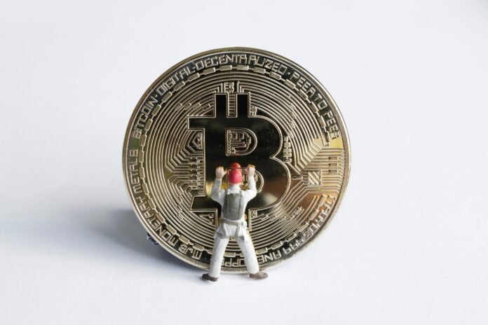 life2vec crypto